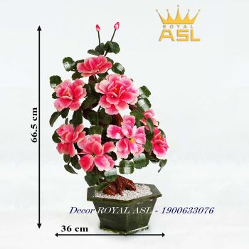 Hoa Mẫu Đơn Tài Lộc Phú Quý - TT004