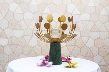 DERCO Cây Kim Tiền Đế Cẩm Thạch DC06